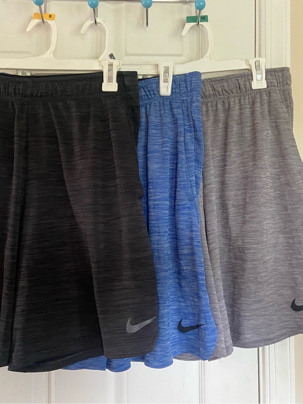 Men’s Nike Dri-fit shorts (Large)